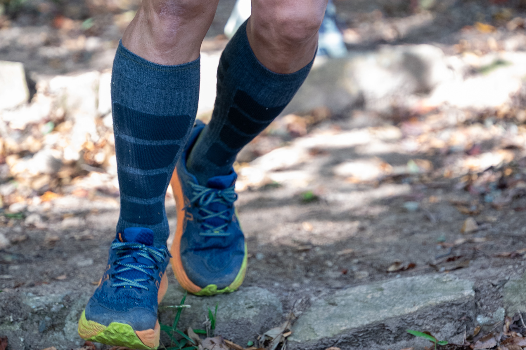 着用イメージ画像